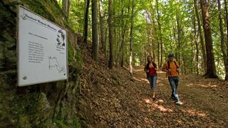 Cham, Chammünster, Lamberg, Nietzsche-Wanderweg 3_bearbeitet-1.jpg