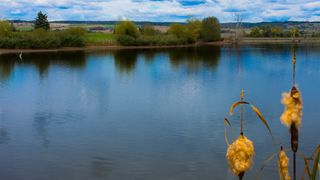 Goldbergsee Coburg-Neuses