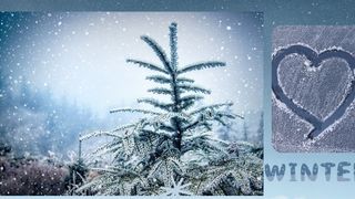 Winter im Kötztinger Land.jpg