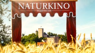 Panoramablick Burg Falkenstein