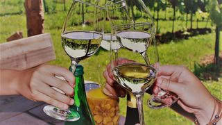 Winzergenossenschaft Hörstein e.G.