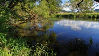 Wanderung entlang des Regen