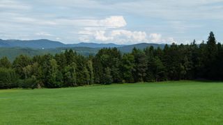 Blick vom Bl5 auf die Bayerwaldberge