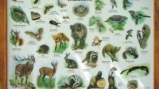 Lehrtafeln am Wanderweg