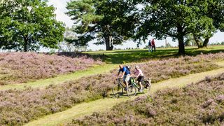 rad-wandern-heide-bispingen