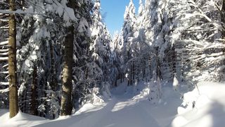 Winterwanderweg zum Kolmstein.jpg
