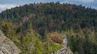 Gipfelkreuz Rauchröhen von oben klein.jpg