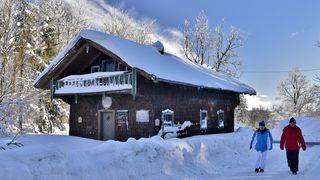 Hohenbogen,Forstdiesnthütte (57).JPG