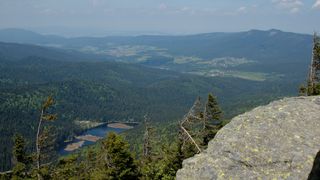 Blick vom Arber zum Arbersee.JPG
