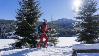 Mit Schneeschuhen am Kl. Arbersee