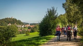 Wandern bei Falkenstein