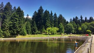 Waldbad Bernhardsthal
