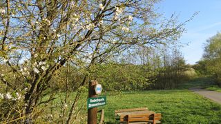 Stressenhäuser Rodachquelle