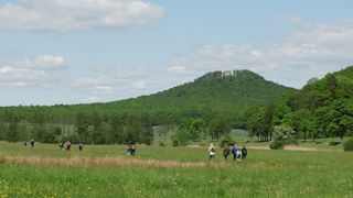 Blick zum Straufhain