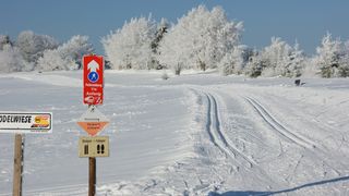 Kein alternativer Text gefunden