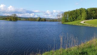Goldbergsee Coburg im Sommer