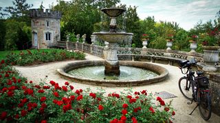 Kein alternativer Text gefunden