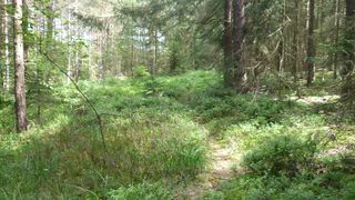 Wanderung im Lautertal