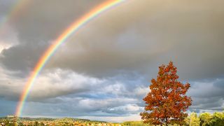 Kein alternativer Text gefunden