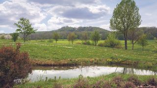 Kein alternativer Text gefunden