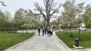 Kein alternativer Text gefunden