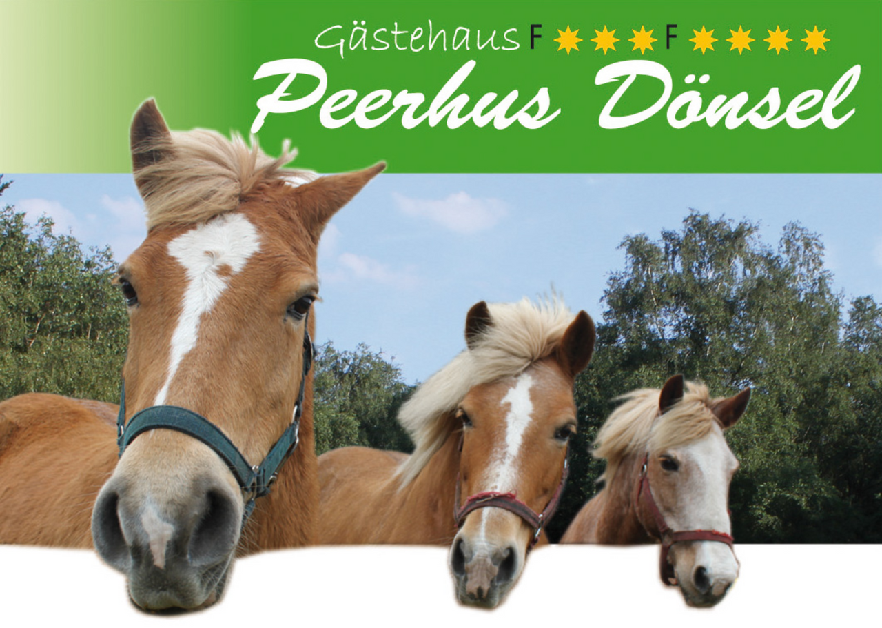Logo Gästehaus Peerhus Dönsel