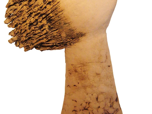 Sergej Luzewitsch & Svetlana Tiukkel