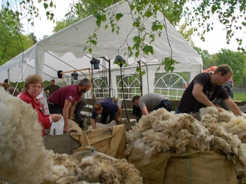 SchäfereiErlebniswelt im AWO Erlebnishof Beeskow