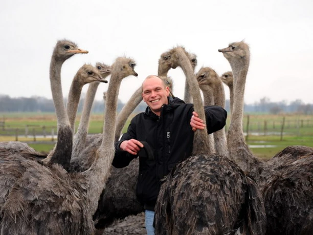 Foto: Straußenhof Großderschau