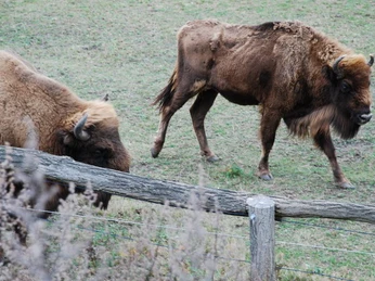 Sielmanns Naturlandschaft