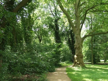 im Schlosspark Nennhausen