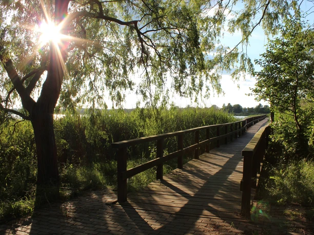 Seeidylle am Blankensee