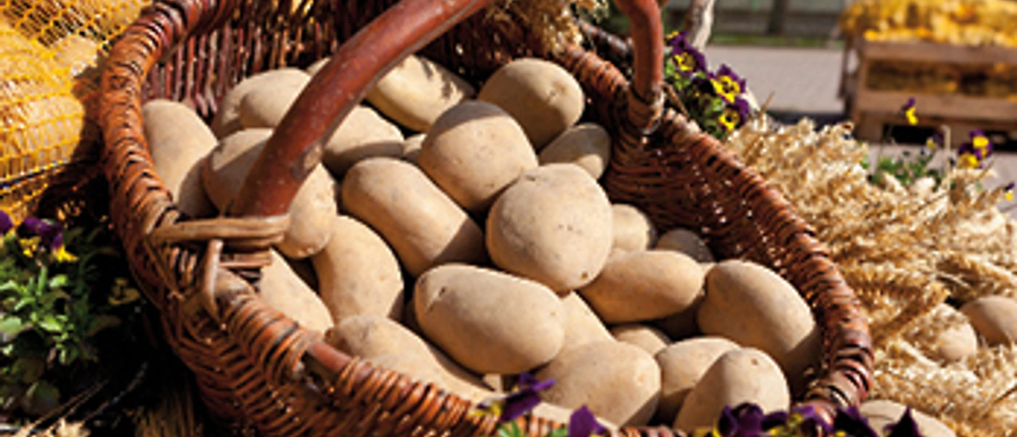 Kartoffeln vom Kartoffelhof Gerlind Neumann
