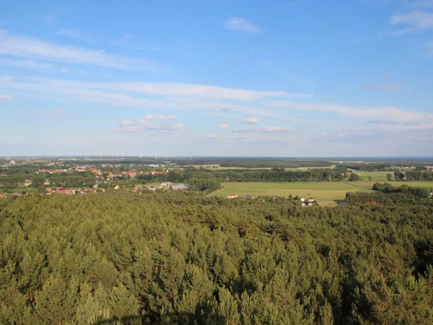 Blick vom Aussichtsturm auf dem Löwendorfer Berg