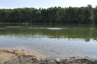 Kiessee