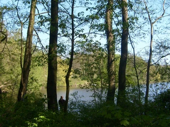 Aalkasten in Alt Zeschdorf