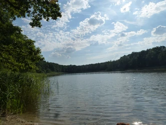 Sauener See