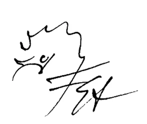 Igel, Friedrich Stachat