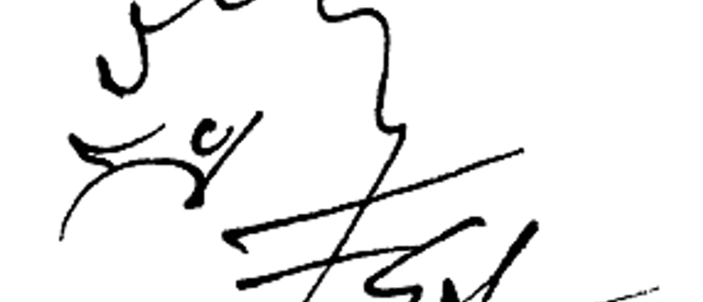 Igel, Friedrich Stachat