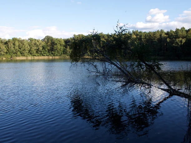 Heidereuter See in Erkner