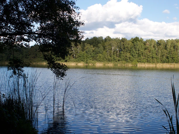 Heidereuter See in Erkner