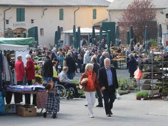 Vielfruchthof Domstiftsgut Mötzow