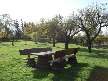 Campingstellplatz am "Gasthof am Hafen"