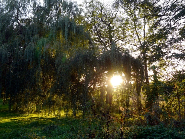 Foto: Tourismusverband Havelland e.V.