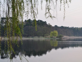 Um den Hohennauer See