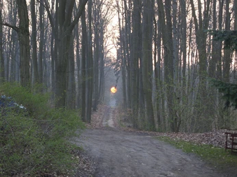 Weg_zur_Ferienwohnung