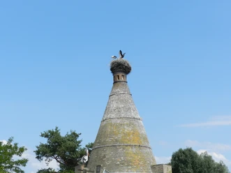 Storchenturm Altgaul