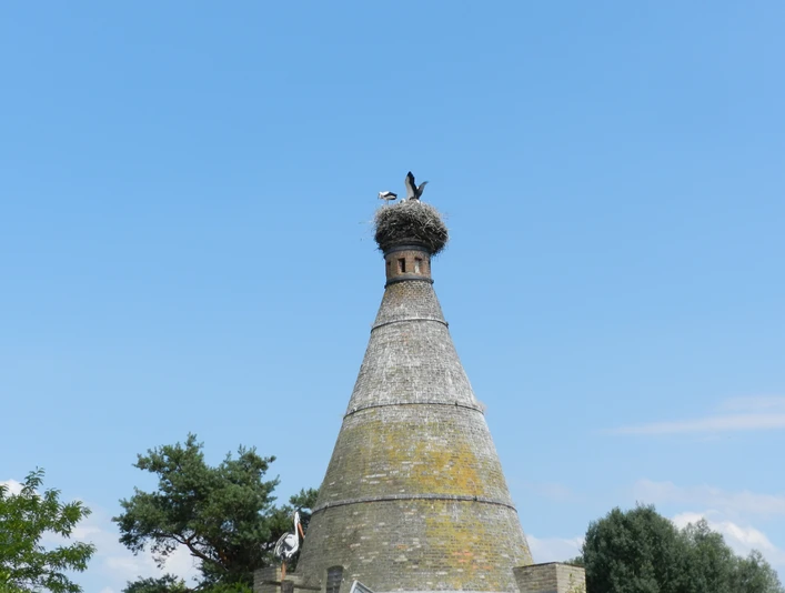 Storchenturm Altgaul