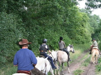 Ausritt durch den Sauener Wald