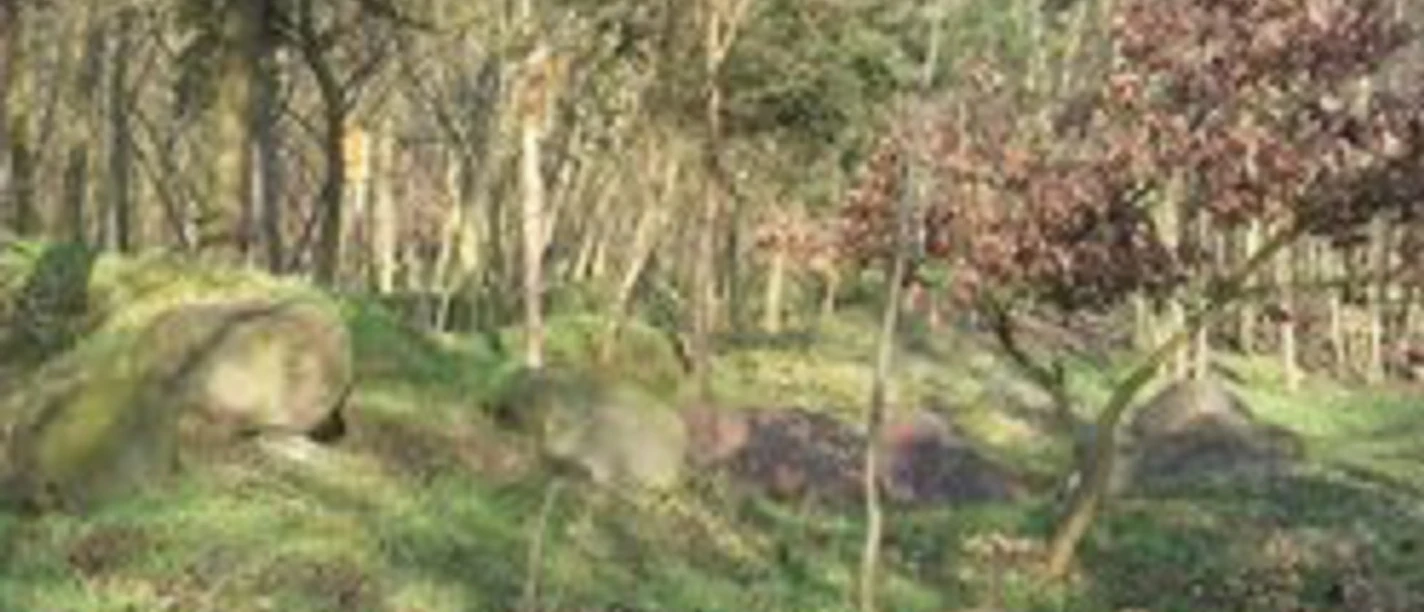 Geologischer Lehrpfad Altranft